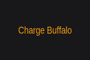 Charge Buffalo