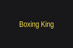 Boxing King
