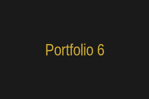 نمونه کار 6