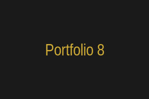 نمونه کار 8