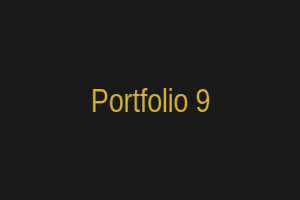 نمونه کار 9