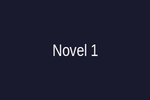 Novel
