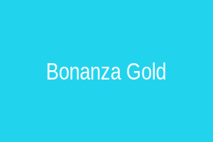 Bonanza Gold
