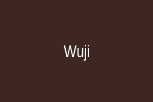 长孙无极