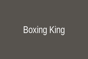 Boxing King