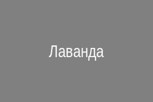 Лаванда