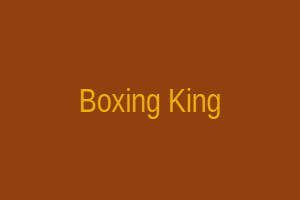 Boxing King