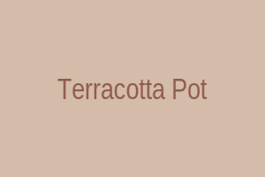 Terracotta Planter