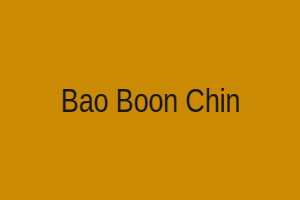 Bao Boon Chin