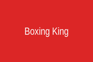 Boxing King