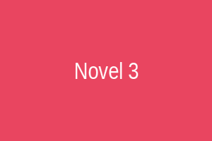 Novel