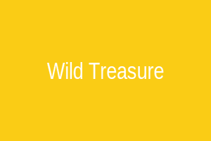 Wild Treasure