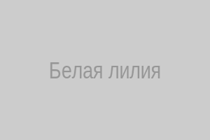Белая лилия