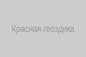 Красная гвоздика