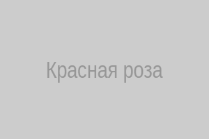 Красная роза