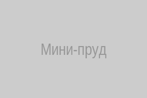 Пруд