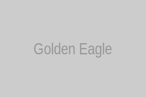 Golden eagle picture for coloring