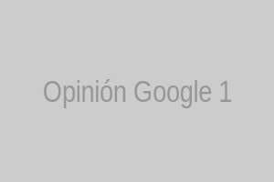 Opinión Google 1