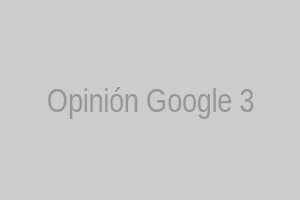 Opinión Google 3