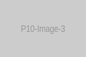 Product 10