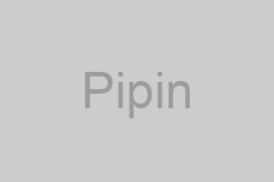 Pipin