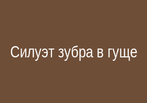 Силуэт зубра на кофейной гуще