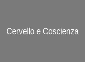 Un'immagine che evoca la complessità del cervello o concetti astratti della mente e della coscienza.