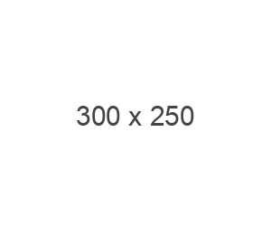샘플배너 300x250