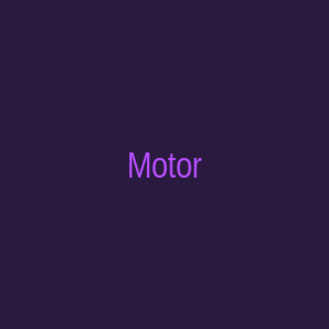 Мотор