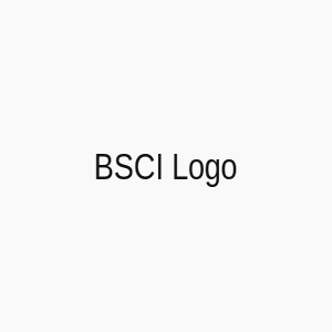 BSCI Audit