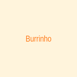 Burrinho em 3D
