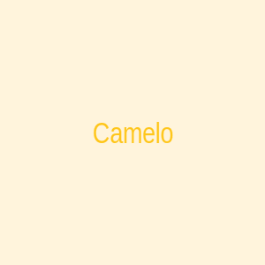 Camelo em 3D