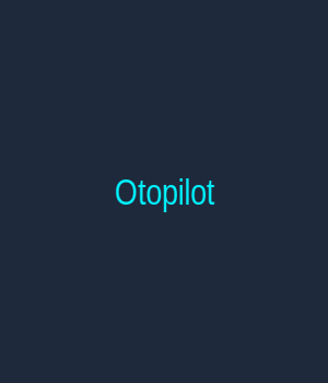 Ekip Üyesi