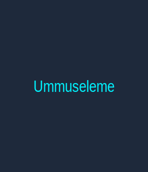 Ümmü Seleme Çil