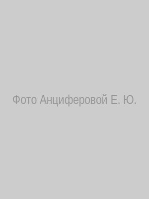 Судебный пристав Анциферова Елена Юрьевна