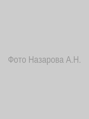 Фото Назарова Александра Николаевича