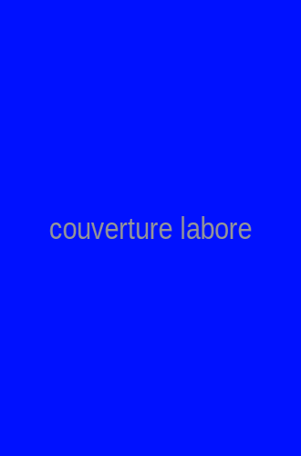 Couverture de Rerum est dicta neque dolorem eligendi incidunt.