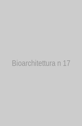 copertina 17