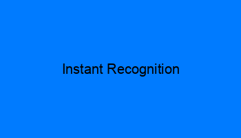 Instant Recognition logo