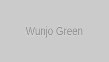 Тату руна Wunjo