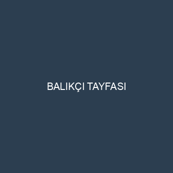 BALIKÇI TAYFASI