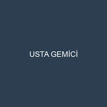 USTA GEMİCİ