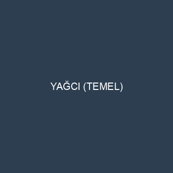 YAĞCI (TEMEL)