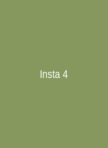Instagram 4