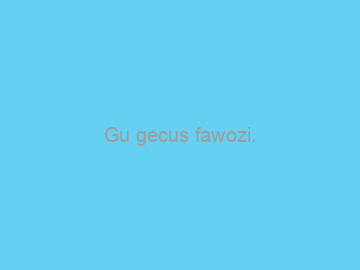 Gu+gecus+fawozi.