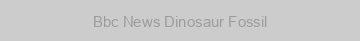 Bbc News Dinosaur Fossil