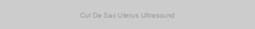 Cul De Sac Uterus Ultrasound