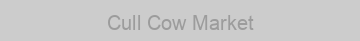 Cull Cow Market