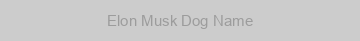 Elon Musk Dog Name