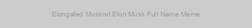 Elongated Muskrat Elon Musk Full Name Meme